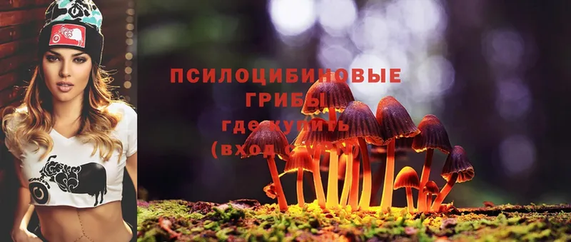 Псилоцибиновые грибы MAGIC MUSHROOMS  Карасук 